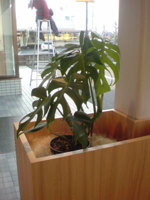 20100317155658.jpg