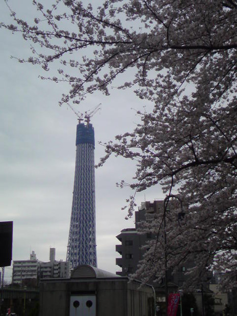 20100404112109.jpg