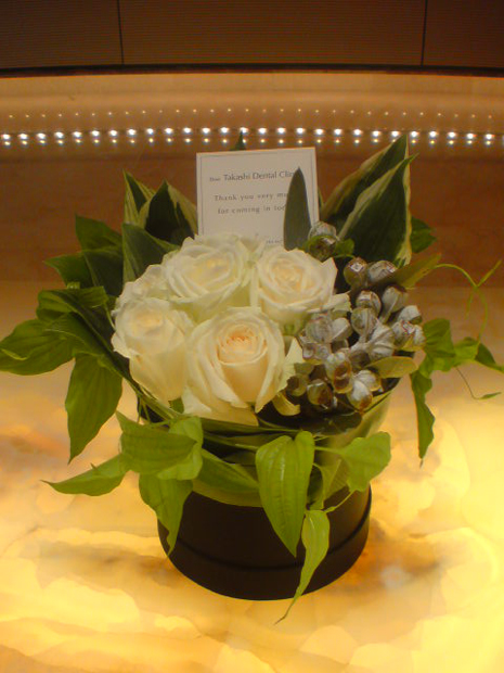 20100527094403.jpg